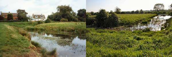 Moat from field behind